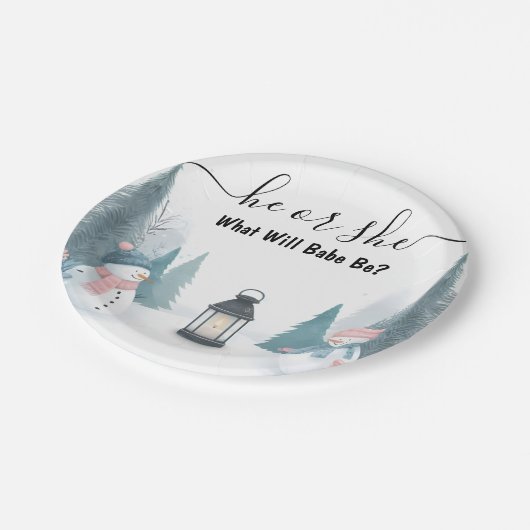 雪素朴氷の冷たい冬のジェンダーが明らかにする ペーパープレート (アングル)