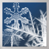 雪結晶 ポスター (正面)