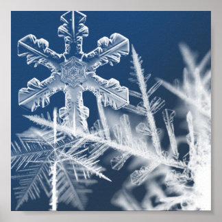 雪結晶 ポスター