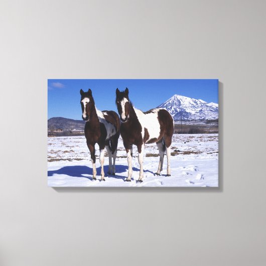 雪絵を描に立つ馬 キャンバスプリント (正面)