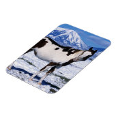 雪絵を描の中に立つ馬 マグネット (左側)