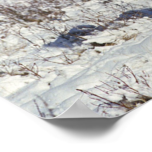 雪絵を描の中の馬 ポスター (角)