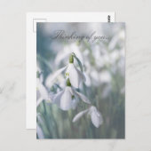 雪考え滴 ポストカード (正面/裏面)