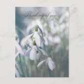 雪考え滴 ポストカード (正面)