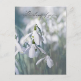 雪考え滴 ポストカード