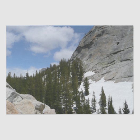 雪花崗岩ドームIIヨセミテ国立公園 薄葉紙 (正面)