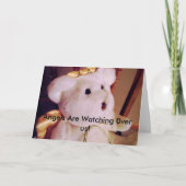 雪花016の天使は0verを私達見ています! カード (正面)