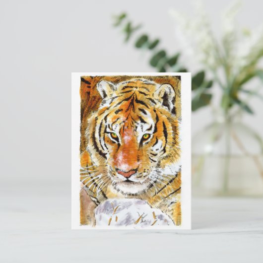 雪虎はがき ポストカード (スタンド正面)