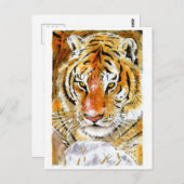 雪虎はがき ポストカード (正面/裏面)