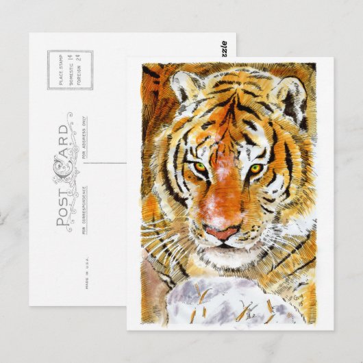 雪虎はがき ポストカード (正面/裏面)