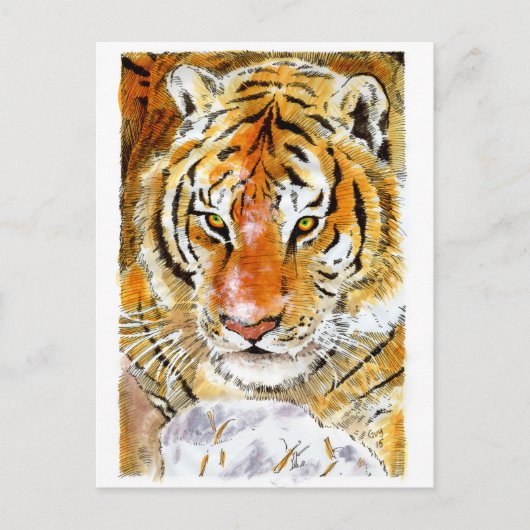 雪虎はがき ポストカード (正面)