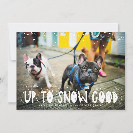 雪質 | Pet Holidayフォトカード (正面)
