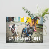 雪質 | Pet Holidayフォトカード (スタンド正面)