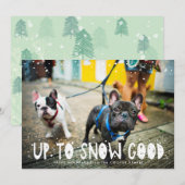 雪質 | Pet Holidayフォトカード (正面/裏面)