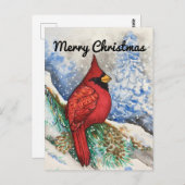 雪赤（鳥）ショウジョウコウカンチョウメリークリスマス ポストカード (正面/裏面)