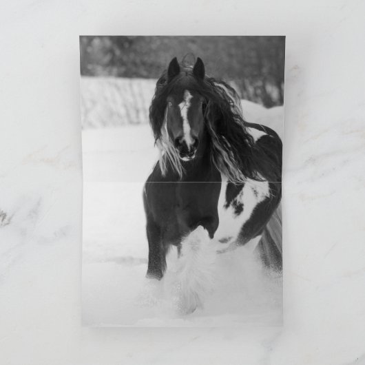 雪走馬の挨拶状 カード (内部)