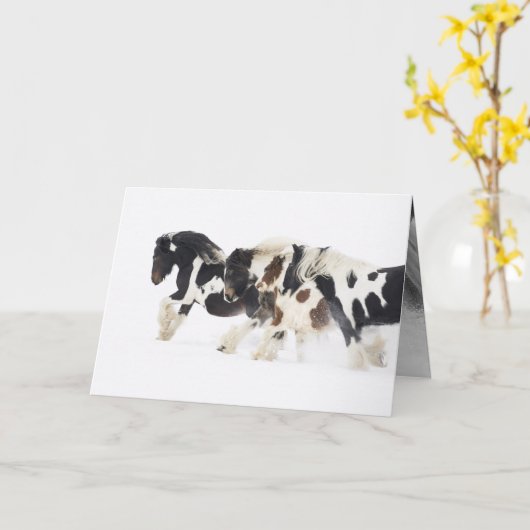 雪走馬の挨拶状 カード (黄色い花)