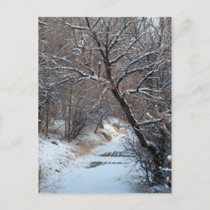 雪道の冬の写真はがき ポストカード