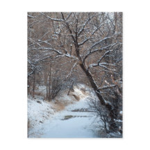 雪道の冬の写真はがき