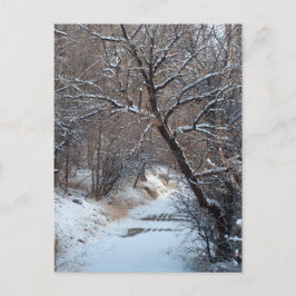 雪道の冬の写真はがき ポストカード