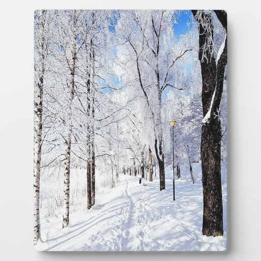 雪道 フォトプラーク (正面)