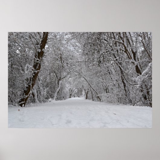 雪道 ポスター (正面)