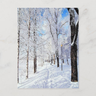 雪道 ポストカード