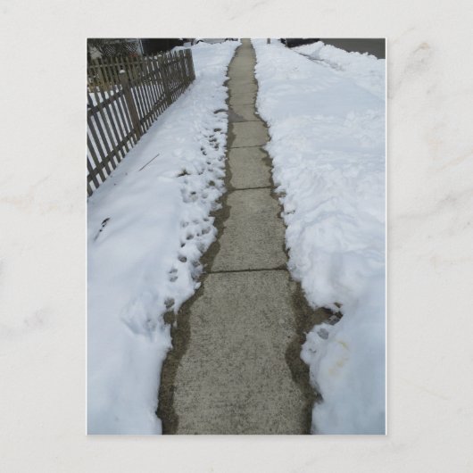 雪道 ポストカード (正面)