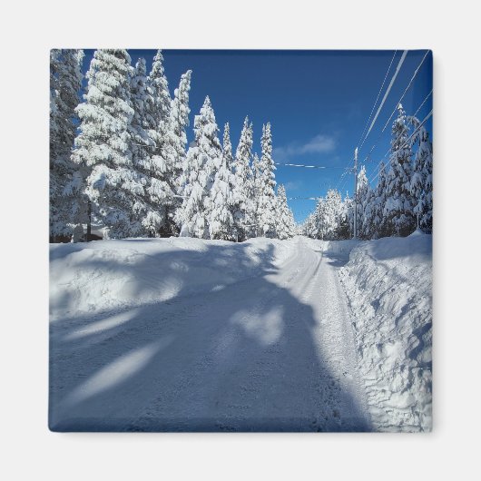 雪道 マグネット (正面)