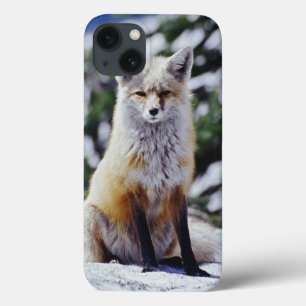 雪銀行、Vulpes、Mt.に坐っているアカギツネ iPhone 13ケース