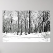 雪隠し ポスター (正面)