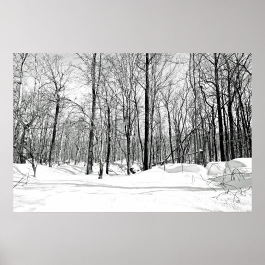 雪隠し ポスター (正面)