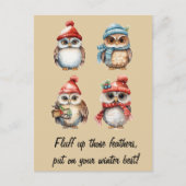 雪霊:冬の温もりでフクロウ ポストカード (正面)