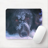 雪面コリー縁どドックかわいい マウスパッド (マウス)