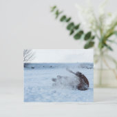 雪風呂 – はがき (スタンド正面)