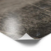 雪飛んでいる草 フォトプリント            (角)