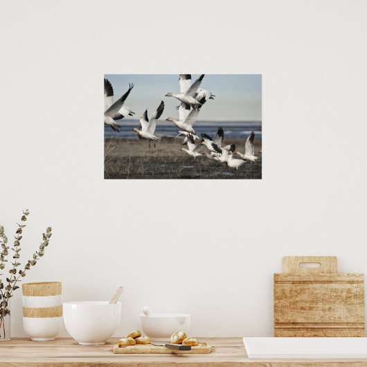 雪飛んでいる草 ポスター (キッチン)