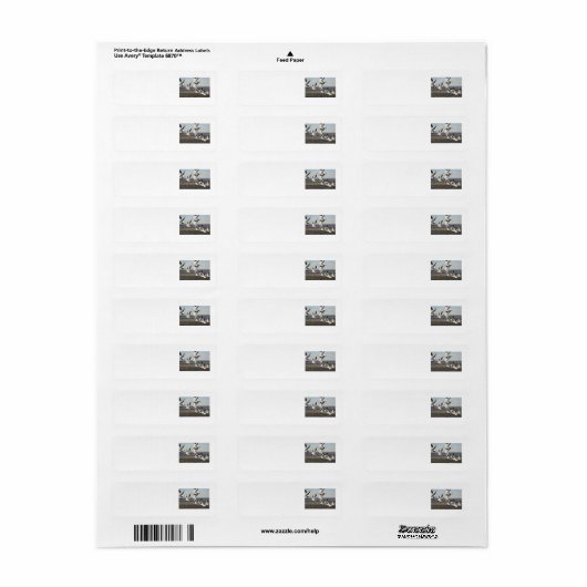 雪飛んでいる草 ラベル (フルシート)