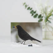 雪食べ物の黒鳥の葡萄 ポストカード (スタンド正面)