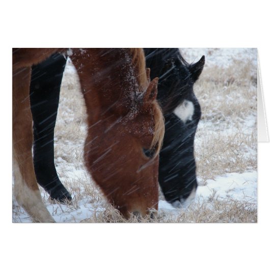 雪食べ (正面横)