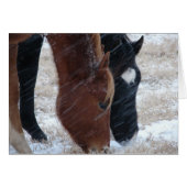 雪食べ (正面横)