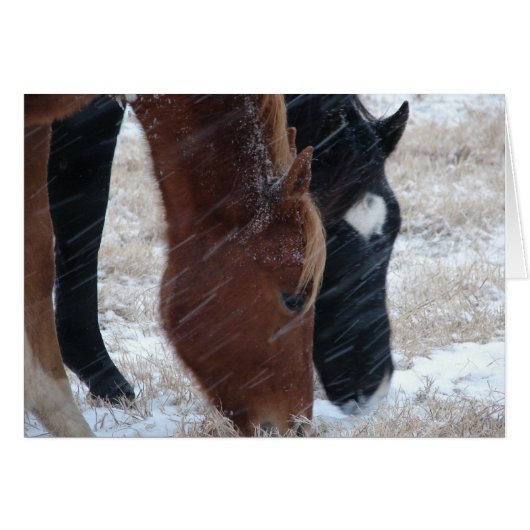 雪食べ (正面横)