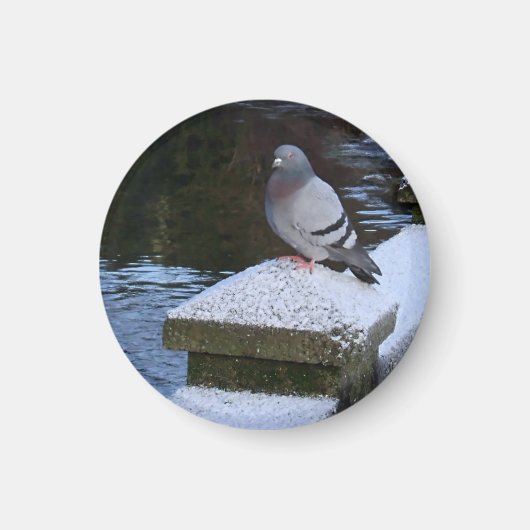 雪鳩マグネット マグネット (正面)