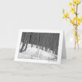 雪黒い及び白の樺の木 カード (黄色い花)