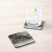 雪1の野生のムスタングの馬 コースター (右側)