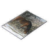 雪1の野生のムスタングの馬 ノートブック (左側)