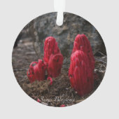 雪 オーナメント (裏面)