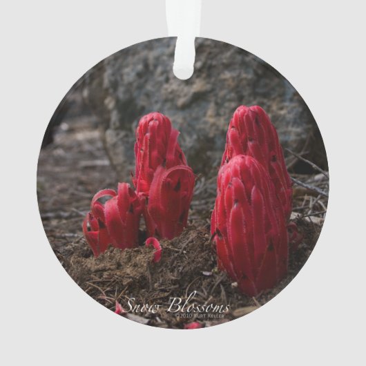 雪 オーナメント (裏面)