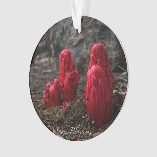 雪 オーナメント (正面)