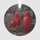 雪 オーナメント (正面)